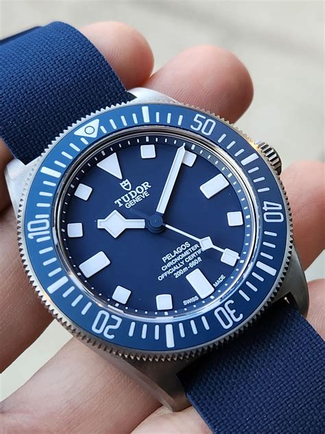 tudor fxd mn21|tudor pelagos fxd blue.